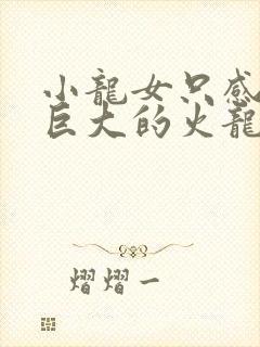 小龙女只感觉那巨大的火龙枪