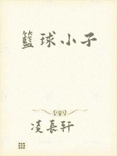 篮球小子