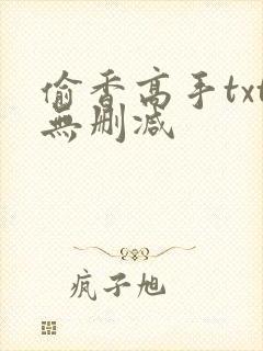 偷香高手txt无删减