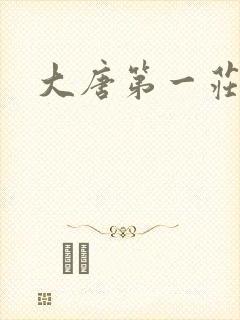 大唐第一庄