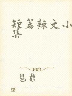 短篇辣文小说合集