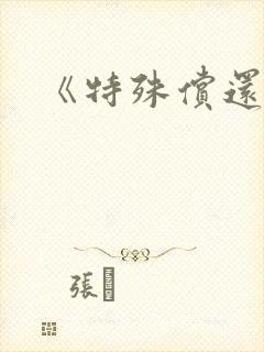 《特殊偿还》封面