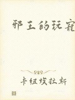 邪王的玩宠封面