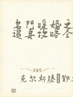 名门暖婚之权爷追妻攻略全文免费阅读