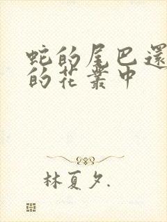 蛇的尾巴还在我的花丛中封面