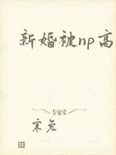 新婚被np高h