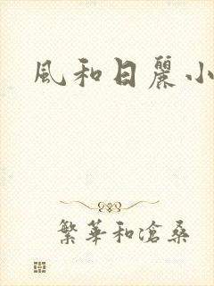 风和日丽小说