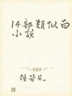 14部类似白洁小说封面