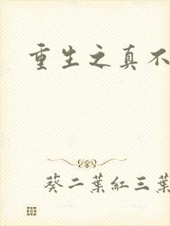 重生之真不挖煤封面