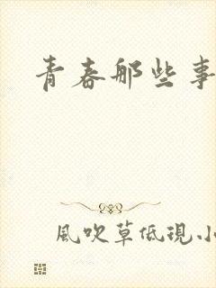 青春那些事封面