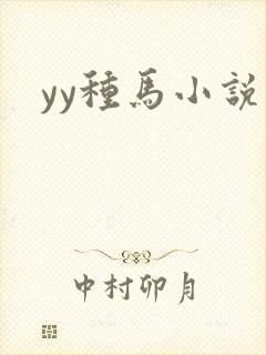 yy种马小说封面