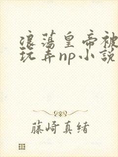 浪荡皇帝被多人玩弄np小说封面