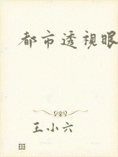都市透视眼