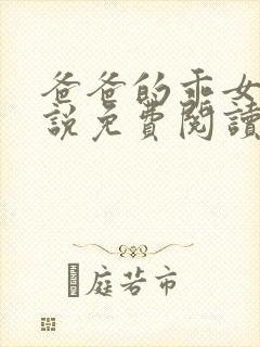 爸爸的乖女儿小说免费阅读封面