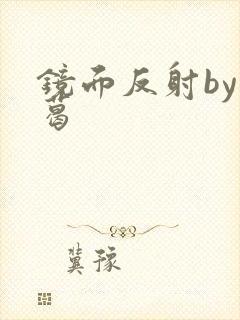 镜面反射by九葛