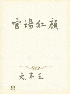 官场红颜