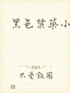 黑色禁药小说