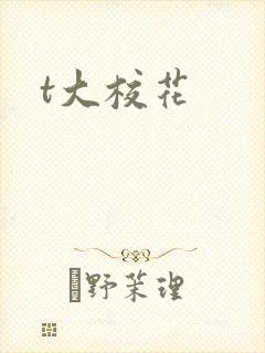 t大校花