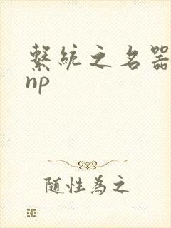 系统之名器攻略np