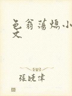 色翁荡熄小说全文