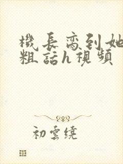 机长脔到她哭h粗话h视频