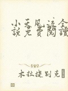 小天风流全集小说免费阅读
