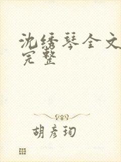 沈绣琴全文阅读完整封面