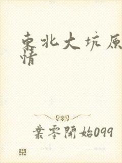 东北大坑原始激情