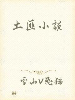 土匪小说