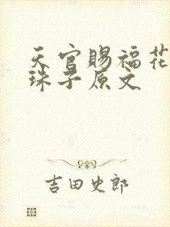 天官赐福花怜塞珠子原文封面
