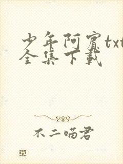 少年阿宾txt全集下载