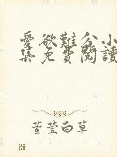 爱欲难分小说全集免费阅读