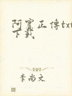 阿宾正传txt下载封面