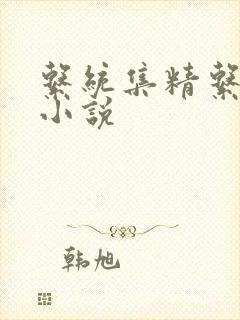 系统集精系统 小说