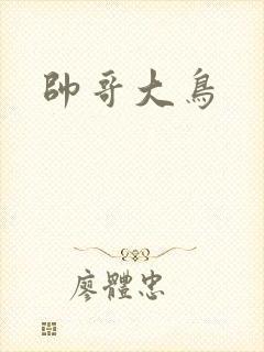 帅哥大鸟