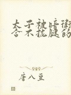 太子被暗卫c到合不拢腿的后果