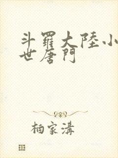 斗罗大陆小说绝世唐门