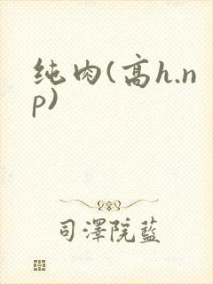 纯肉(高h.np)