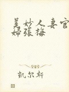 美妙人妻官场少妇张梅封面