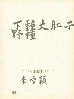 下种大肚子怀孕野种封面