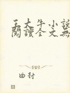 王大牛小说免费阅读全文无弹窗