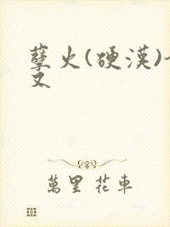 孽火(硬汉)今又