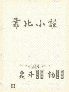靠比小说