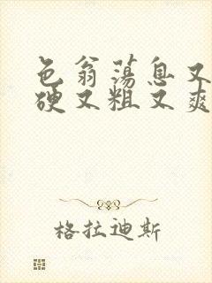 色翁荡息又大又硬又粗又爽电影