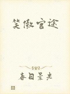 笑傲官途
