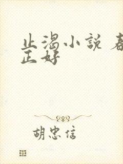 止渴小说 春光正好