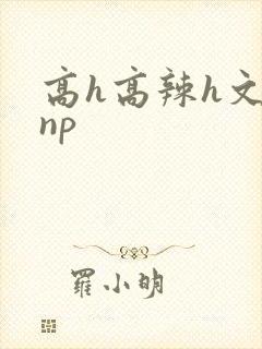 高h高辣h文乱np