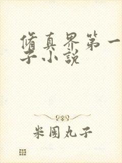 修真界第一病秧子小说