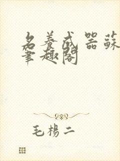 名养成器苏沫沫笔趣阁