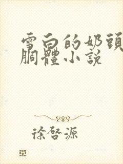 雪白的奶头丰韵胴体小说